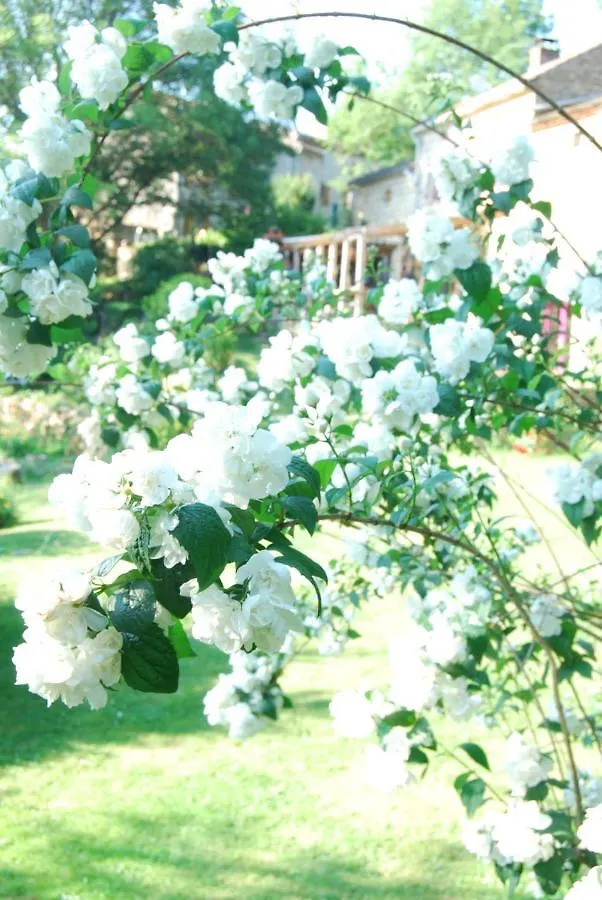 La Freiressa Bed & Breakfast Saint-Jean-des-Ollieres
