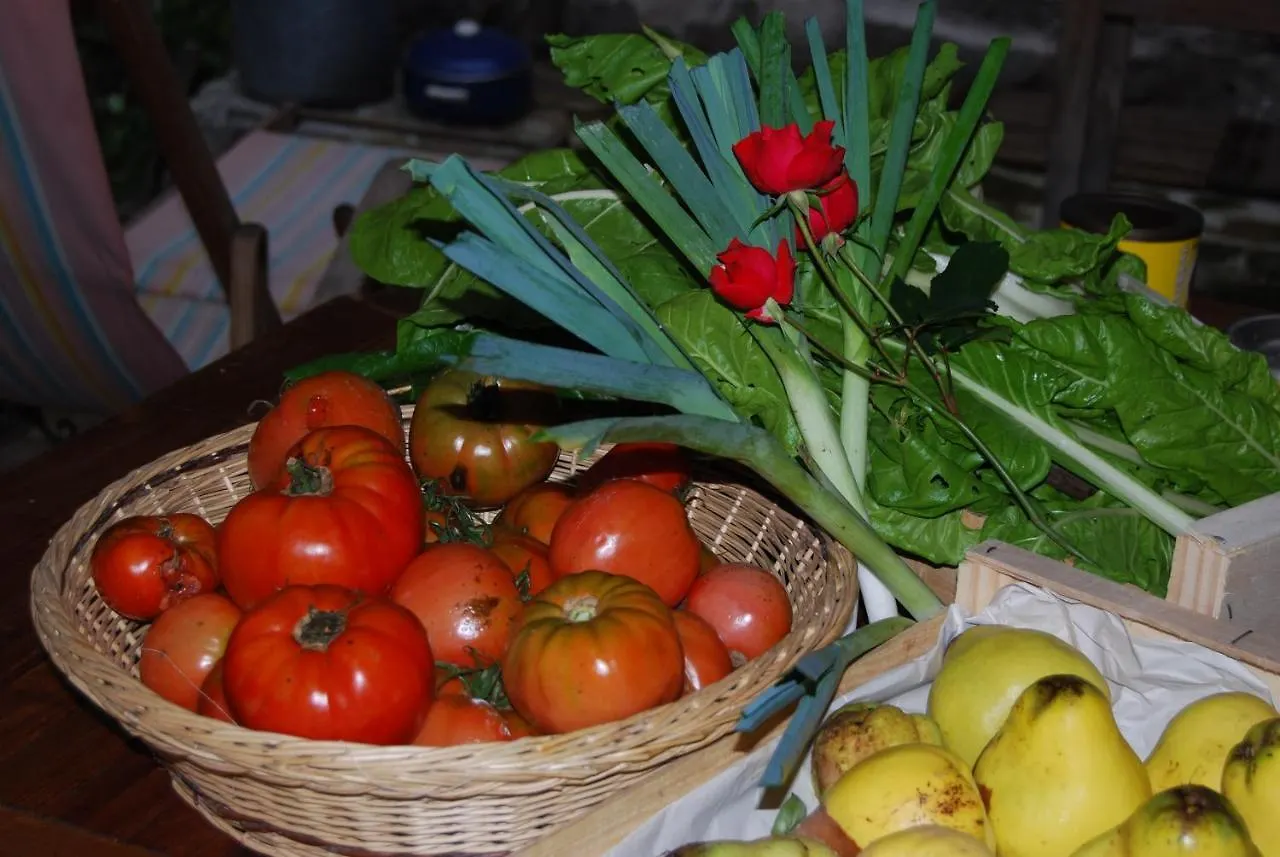La Freiressa Bed & Breakfast Saint-Jean-des-Ollieres France